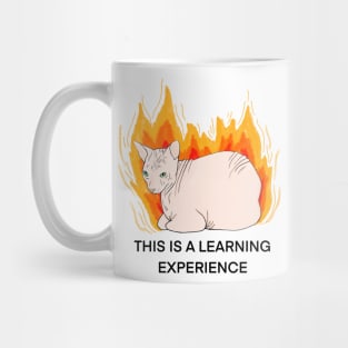 This is a learning experience Mug